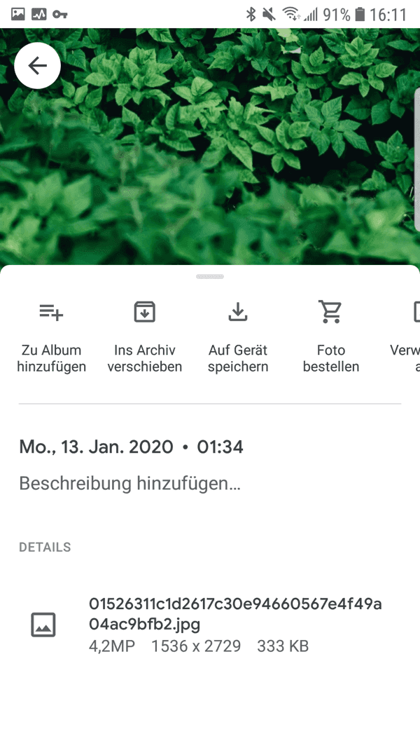 Google Fotos auf Gerät speichern Android