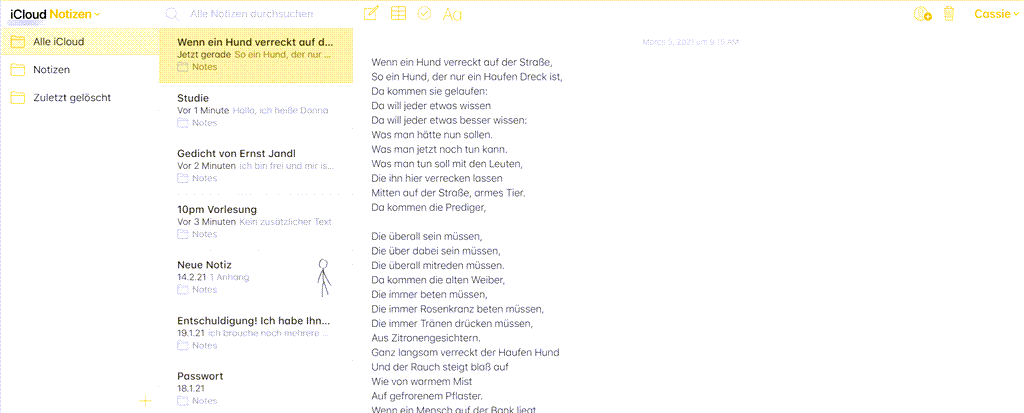 Notizen auf iCloud schauen und bearbeiten