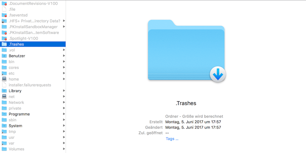 Versteckte Dateien auf Mac